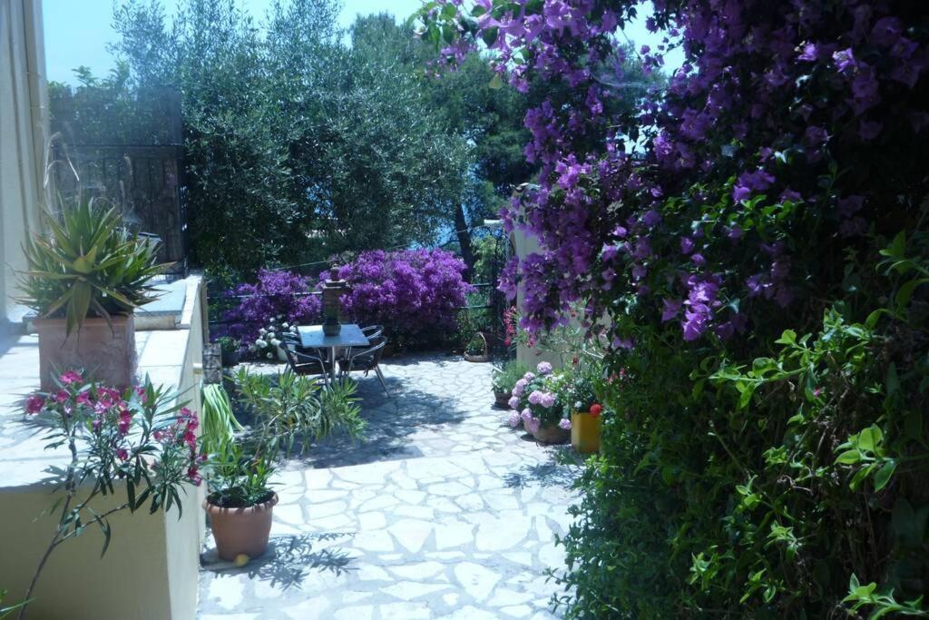 Butterfly Apartment *